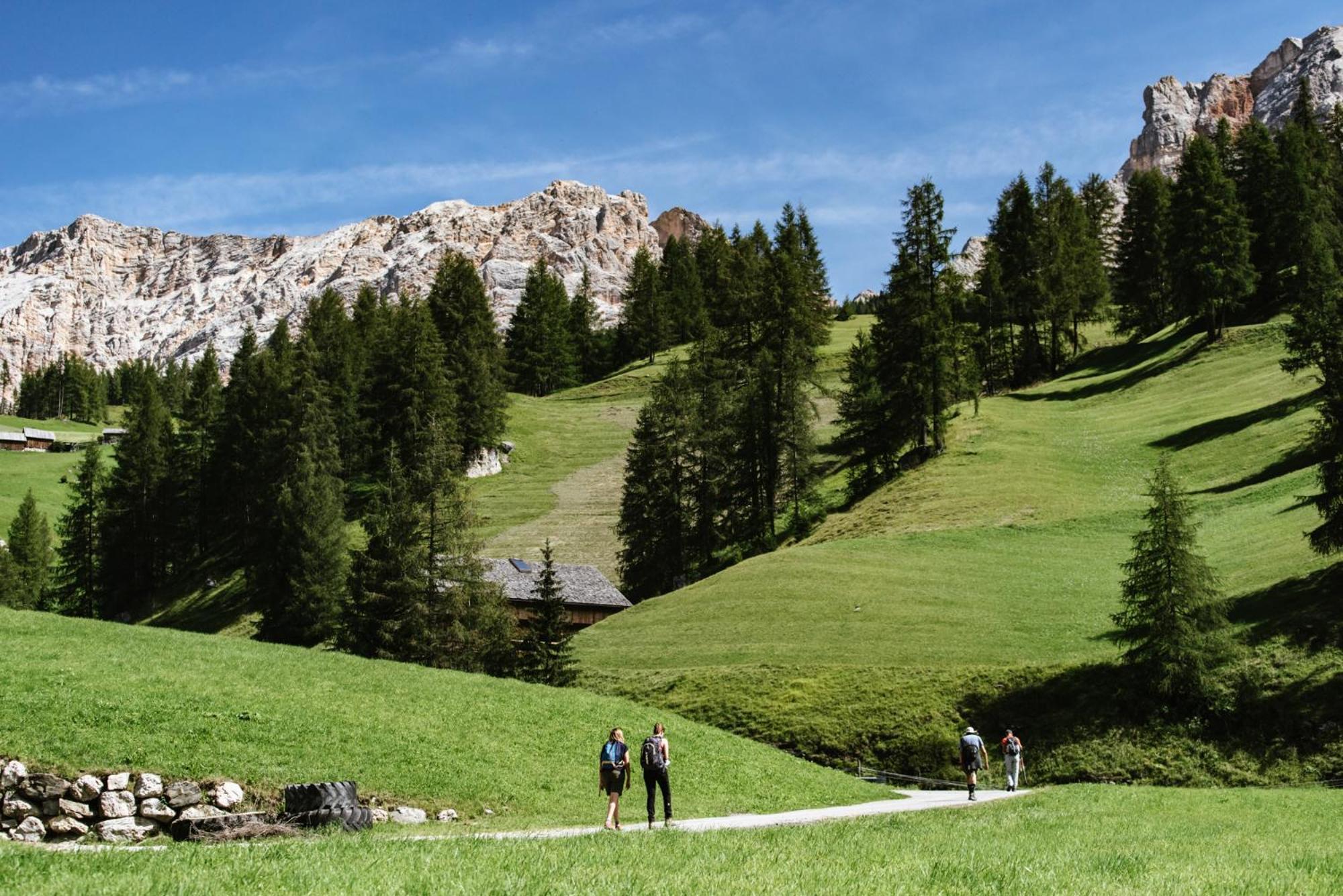 Apartments Da La Vedla Flats San Cassiano  Kültér fotó